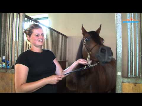 Pianissima jak Małysz lubi banany - www.pulsmiasta.tv