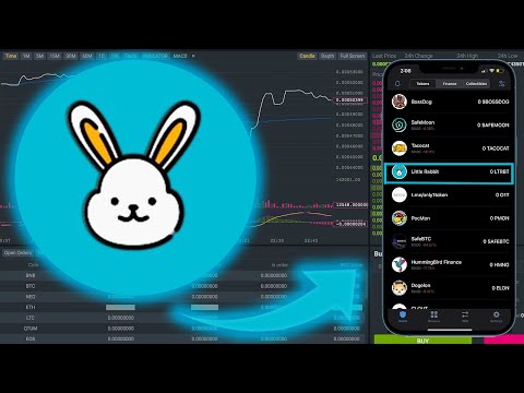 YouTube video about: How to buy little rabbit token?