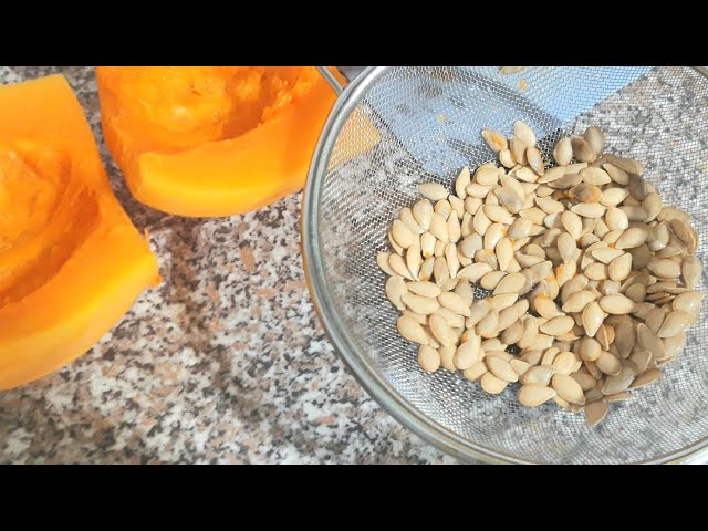 Youtube Video Youtube Video