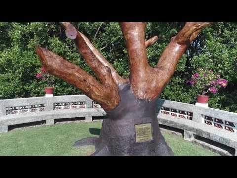 Sjors van der Panne in Indonesie