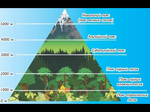 Structure of the Biosphere