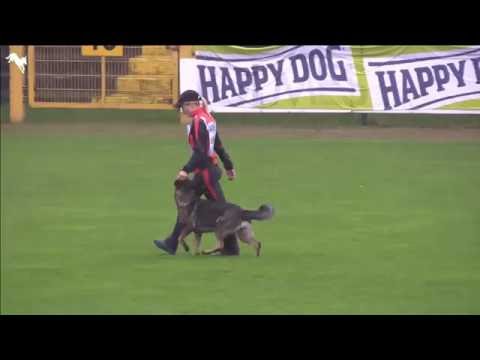 "Mindy vom Ratsenheim" WUSV Universalsieger WM 2016