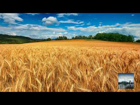 Subimpact - Someone Like You (Original Mix) [Myths & Legends / Abora Recs.]