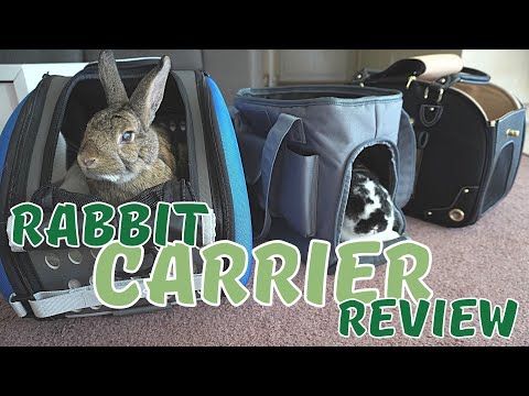 Best Pet Carriers for Rabbits | What to look for when choosing a carrier for your rabbit