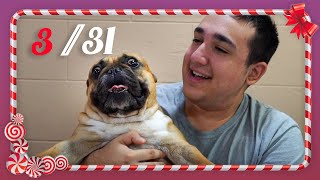 Poklanjamo DAMBA (Prank)! VLOGMAS (Sezona 3) 3/31 Poklanjamo DAMBA (Prank)! VLOGMAS (Sezona 3) 3/31