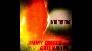 Jimmy Gnecco and Mitchell Marlow - Into the fire
