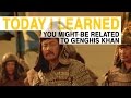 TIL: You Might Be Related to Genghis Khan | Today I Learned