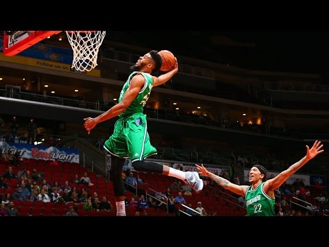 Iowa Energy 2015-16 Season Highlights