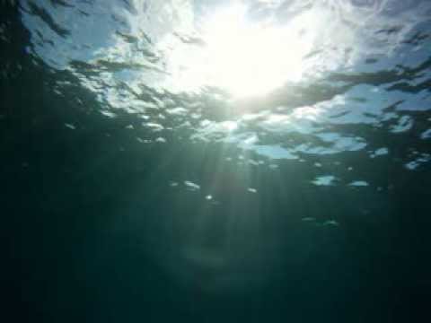 Dubrovnik-Molunat diving