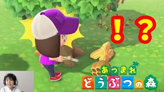 【あつ森】#2 ２日連続ハチに刺された ニンテンドースイッチ　あつまれどうぶつの森ゲーム実況