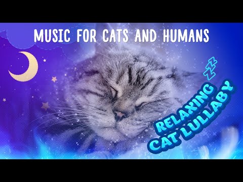 Cat lullaby MUSIC FOR CATS and humans | Relaxing music for cats