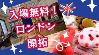 [ロンドン在住Vlog] ロンドンさんぽ 無料で楽しむ！ハンタリアン博物館＆フリーメイソンホール