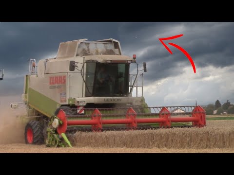 Mähdrescher vs. Gewitter ⛈️ Stress in der Getreideernte - Claas Lexion 450