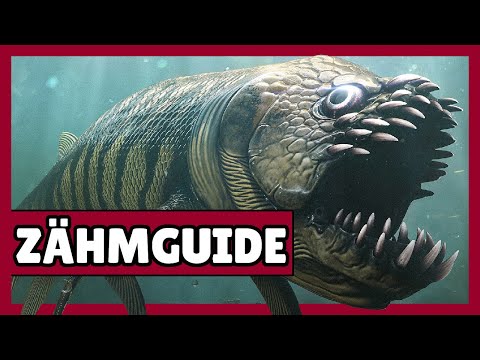 XIPHACTINUS EINFACHSTER ZÄHMWEG und ALLE FÄHIGKEITEN! Er ist SO STARK!