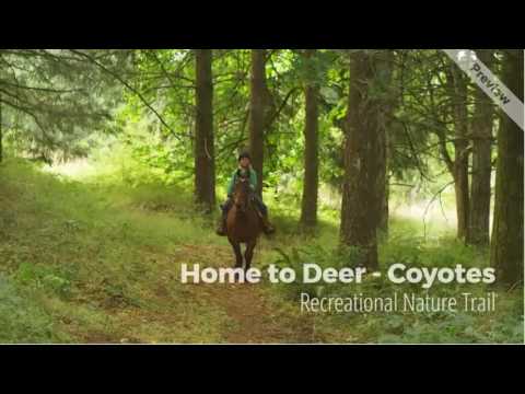 Forested Buffer Zone Surrey-Langley