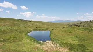 c9e9c48d 3714 44e5 8e84 69c17c65845e