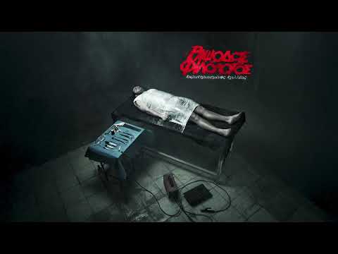 Ραψωδός Φιλόλογος - Σ' Ένα Παγκάκι | Official Audio Release