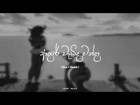 Adare wadida manda - ආදරේ වැඩිද මන්දා (Slow+Reverb) 