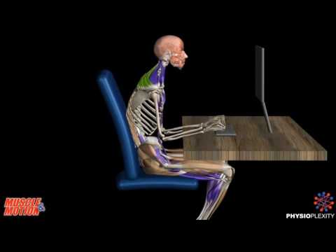 Лечение сосновыми шишками суставы Боли в пояснице почки причины и лечение