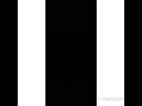 Mali Vuk Text _ Htk feat Zola_   Vojim te