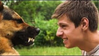 TU PERRO NO TE OBEDECE 🤭 TE MUESTRA LOS DIENTES😰 👉 PROBLEMAS DE ESTATUS!!! 👈