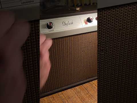 Vintage 1960s Gibson GA-5 Skylark image 23
