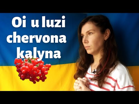 Ukrainian patriotic song | Ой у лузі червона калина