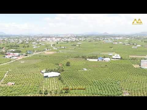 Đất nông nghiệp Bình Thuận, trồng sẵn thanh long