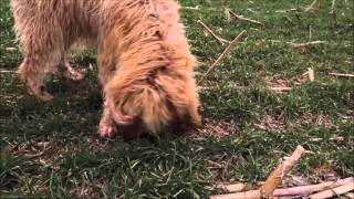 Otis tracking