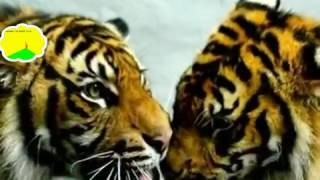 Lend a hand Ijahman traduction fr