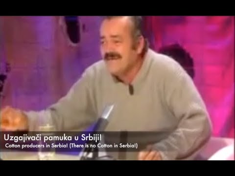 Serbian Minister of Finance Sinisa Mali Plagiarism