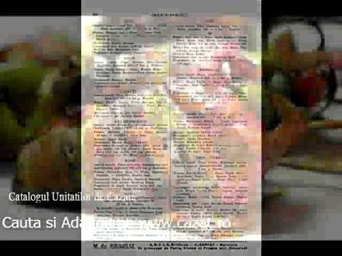 Cazare Poienile de Sub Munte, Maramures - Cazat.ro