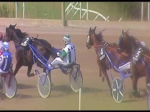 Trotto 13/06/2020 - 6ª corsa