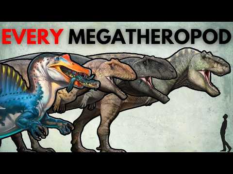 Every Known Megatheropod | Ultimate Terrestrial Predators