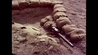 Boards of Canada - Gemini / Reach for the Dead