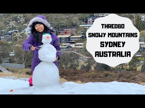 cari-salju-di-australia-snowy-mountains-thredbo-main-salju