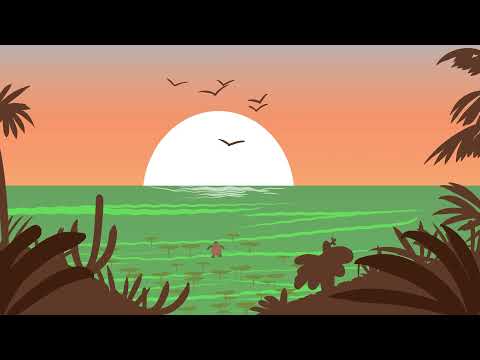 A Batalha da natureza, uma série animada - ep. 03