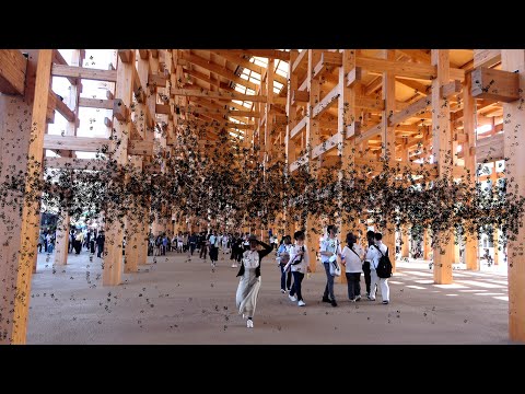 오사카 엑스포가 벌레밭이 되었다고 합니다.