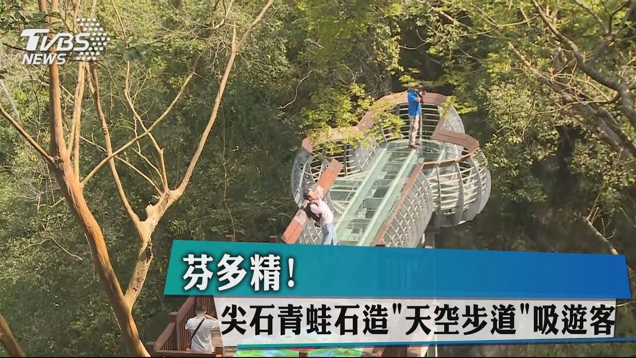 芬多精! 尖石青蛙石造「天空步道」吸遊客
