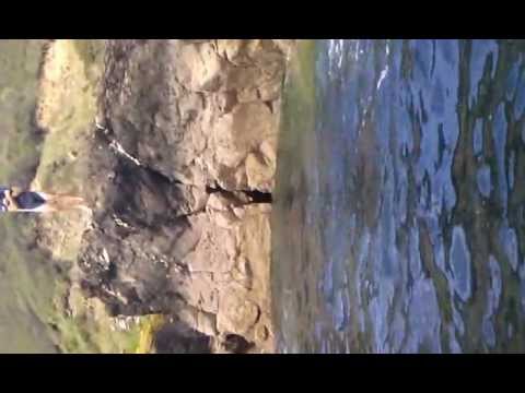 Duporth cliff divers