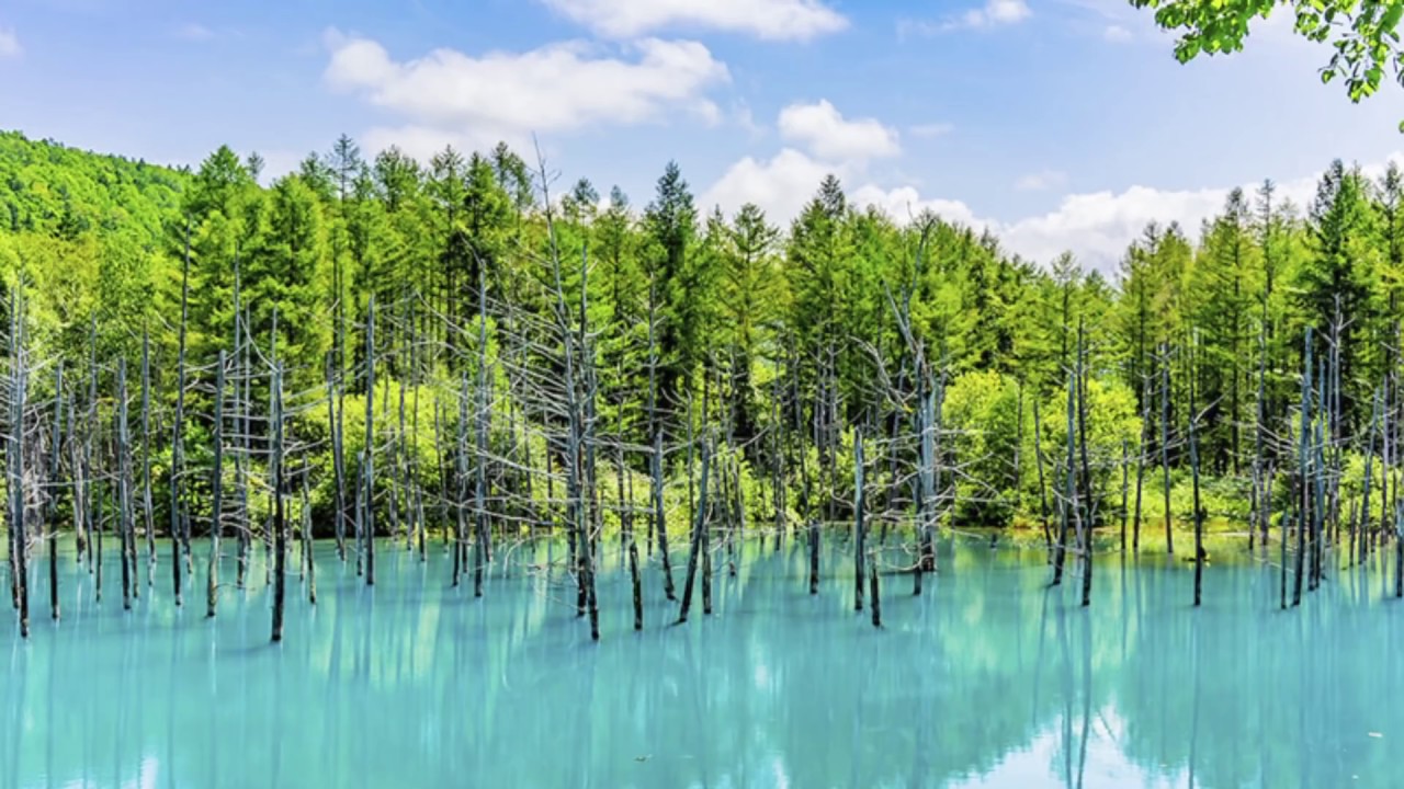 聴くたびに幸せが巡って来る！北海道の大自然と癒しのメロディー。