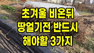 초겨울 비온뒤 땅얼기전 반드시 해야할 3가지