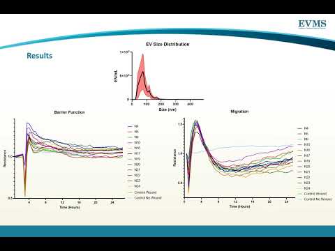 Thumbnail image of video presentation for Effect of Plasma Extracellular Vesicles on Cardio-Metabolic Status and Endothelial Dysfunction