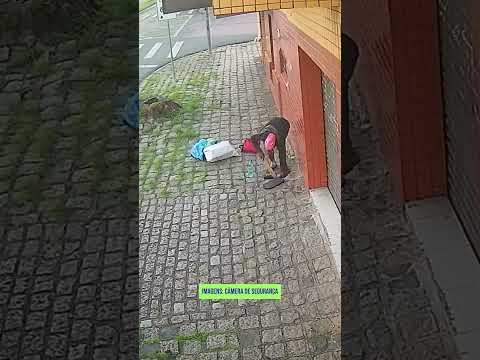 Criminalidade em Curitiba: Rebouças tem um furto a cada 4 horas