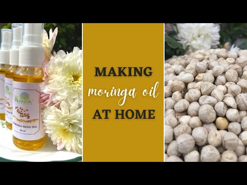 Wie ich angefangen habe, Moringaöl selbst herzustellen. #MeineGeschichte Staffel 1, Folge 2