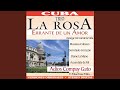 La Fiesta De Los Ratones