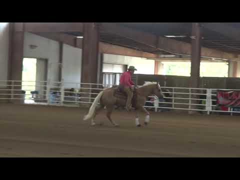 180727 Steve Opell on Ha Tears Of The Sun Green