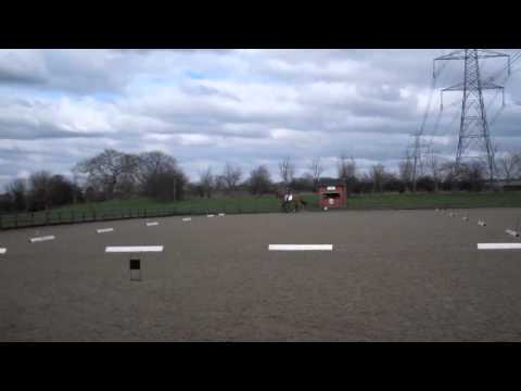 Sophie Beaty - Bart (First Dressage Test)
