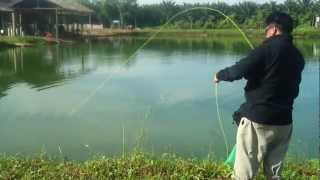 preview picture of video 'Shahriza fly fishing di Bedong Kedah'