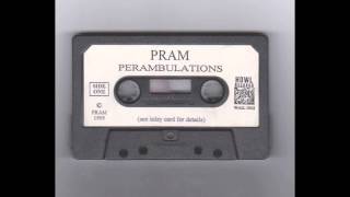 PRAM Blue Singer Living Sickness Mix